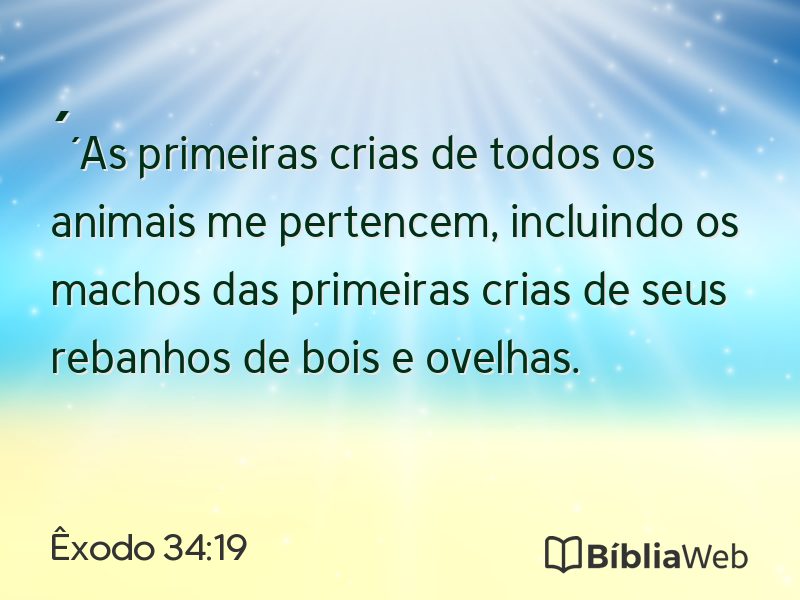 Êxodo 34:19 em imagem para compartilhar