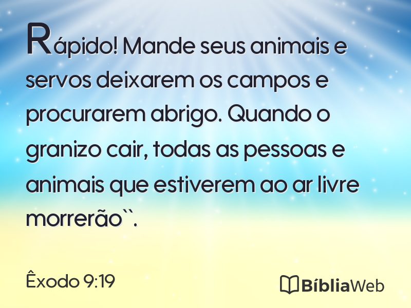 Êxodo 9:19 em imagem para compartilhar
