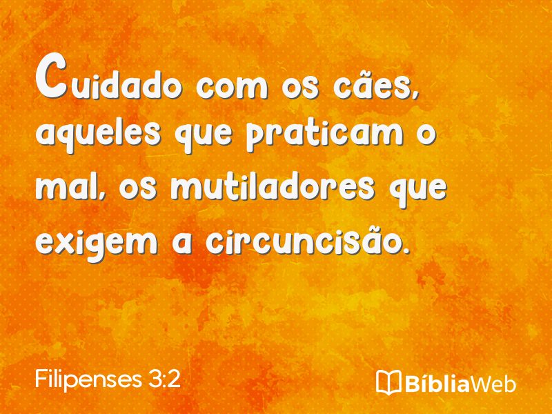 Filipenses 3:2 em imagem para compartilhar