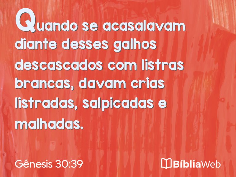 Gênesis 30:39 em imagem para compartilhar