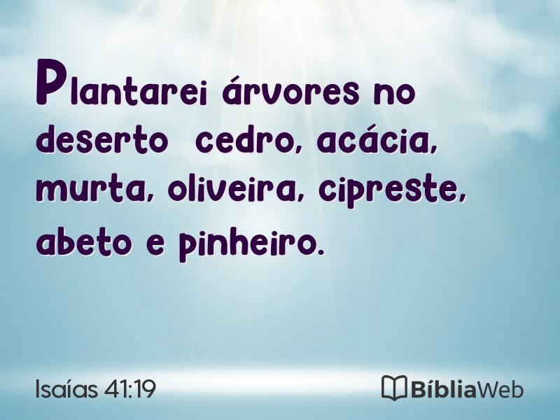 Isaías 41:19 em imagem para compartilhar