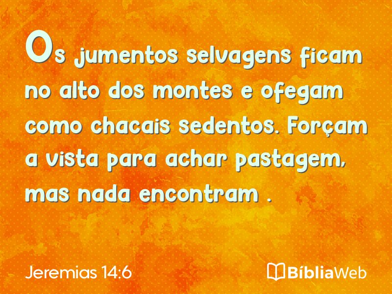 Jeremias 14:6 em imagem para compartilhar