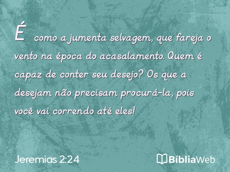 Jeremias 2:24 em imagem para compartilhar