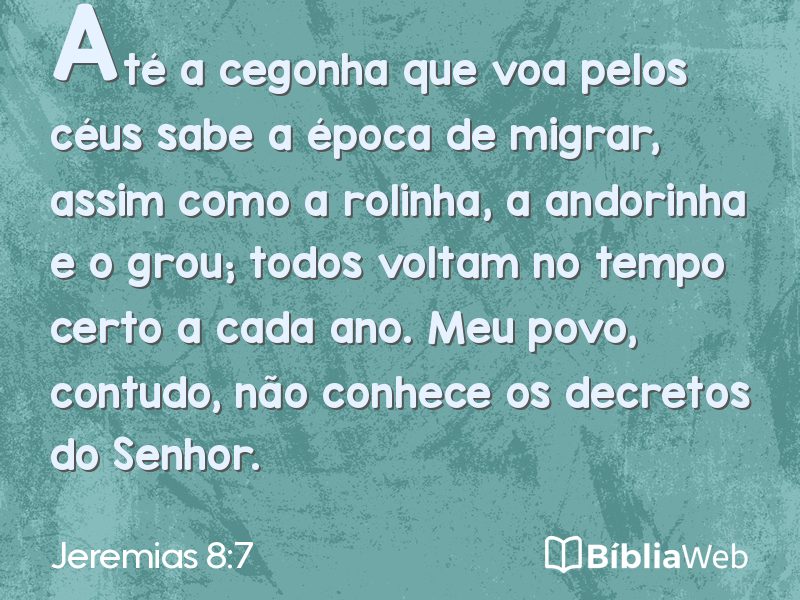 Jeremias 8:7 em imagem para compartilhar