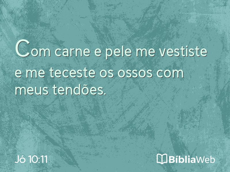 Jó 10:11 em imagem para compartilhar