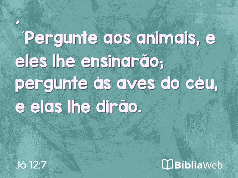Jó 12:7 em imagem para compartilhar