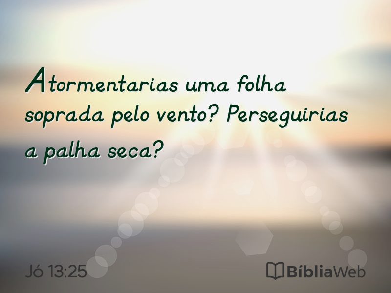 Jó 13:25 em imagem para compartilhar