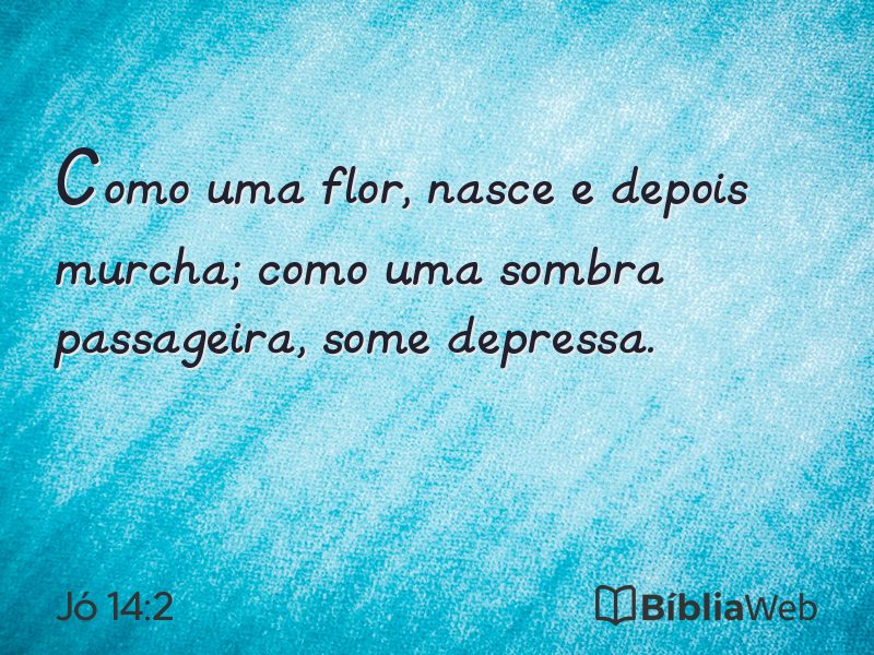 Jó 14:2 em imagem para compartilhar