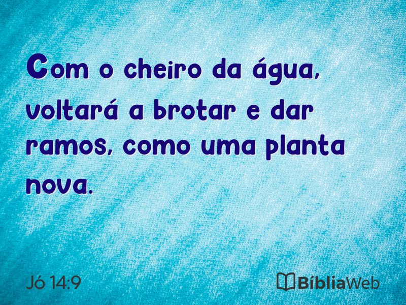 Jó 14:9 em imagem para compartilhar