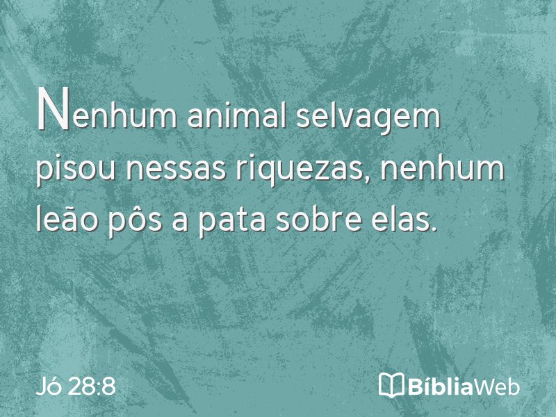 Jó 28:8 em imagem para compartilhar