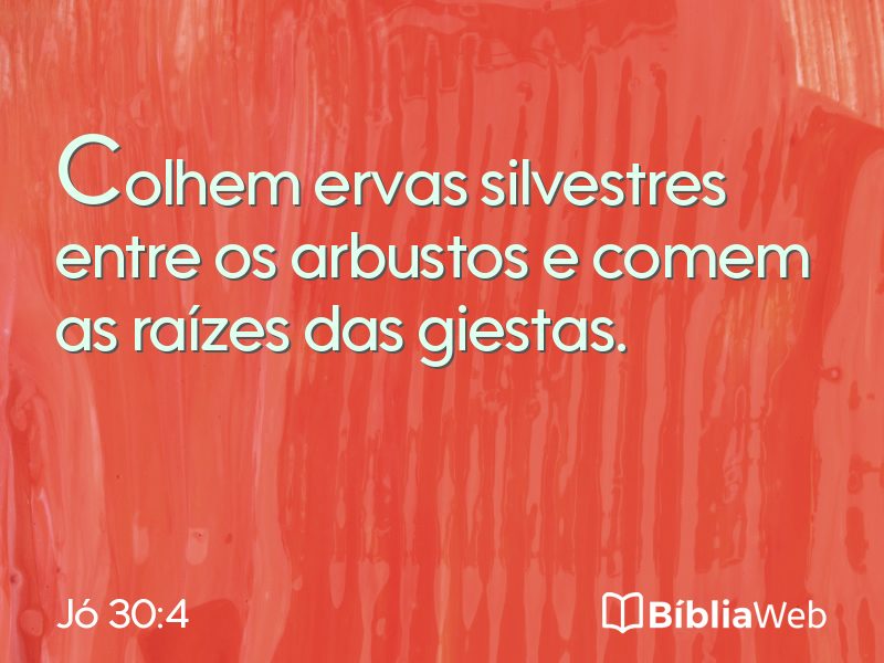 Jó 30:4 em imagem para compartilhar