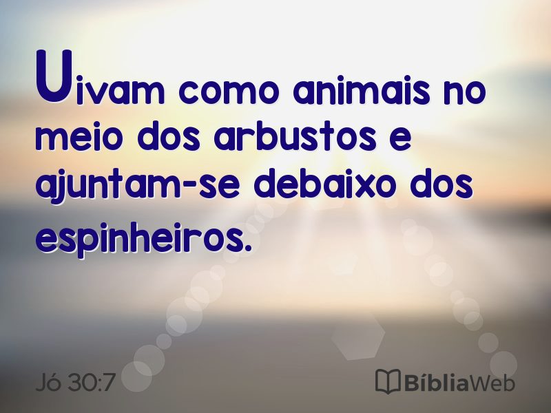 Jó 30:7 em imagem para compartilhar