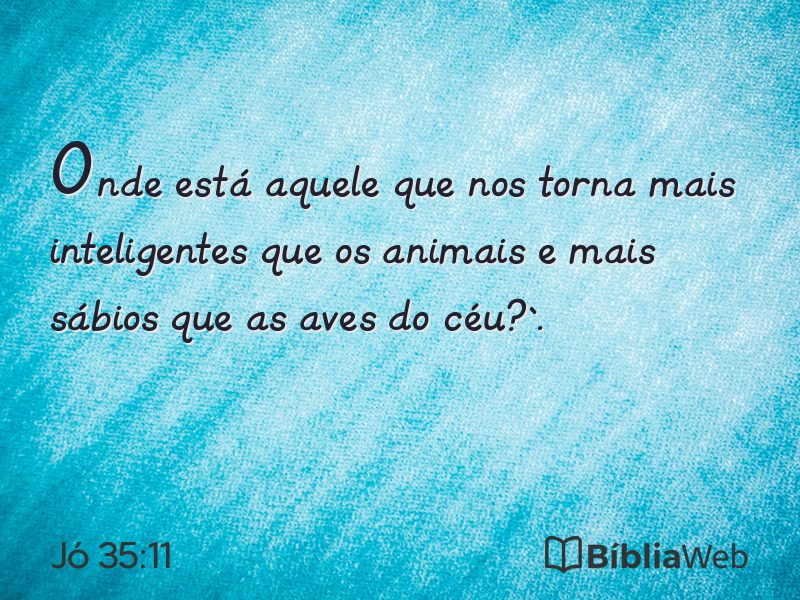 Jó 35:11 em imagem para compartilhar