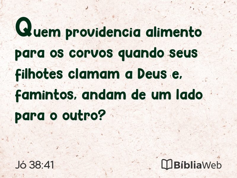 Jó 38:41 em imagem para compartilhar