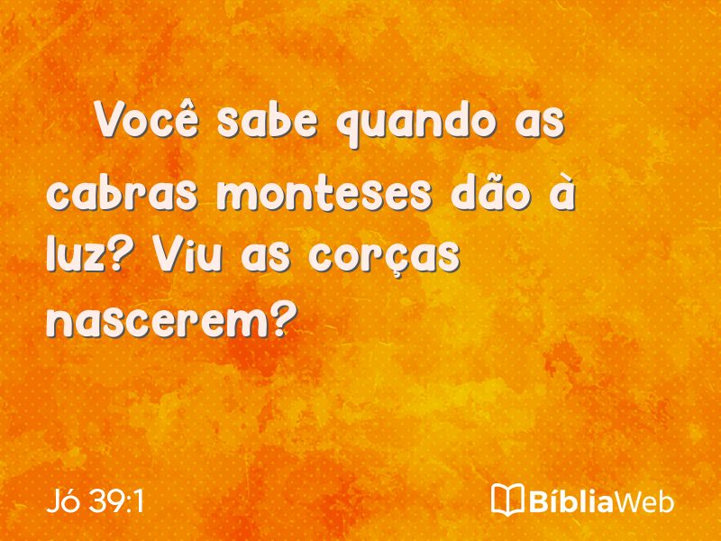 Jó 39:1 em imagem para compartilhar