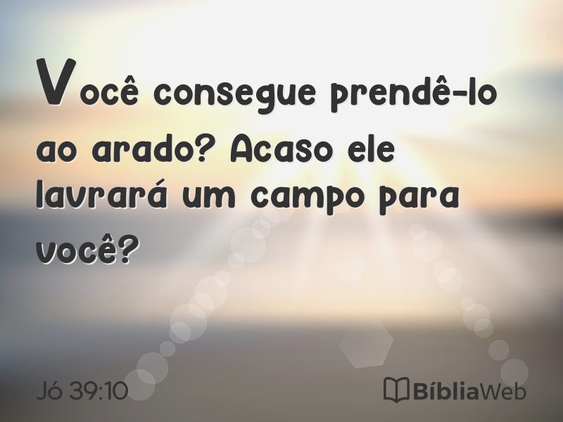 Jó 39:10 em imagem para compartilhar