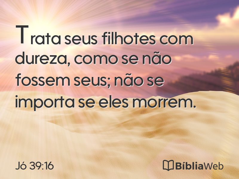 Jó 39:16 em imagem para compartilhar