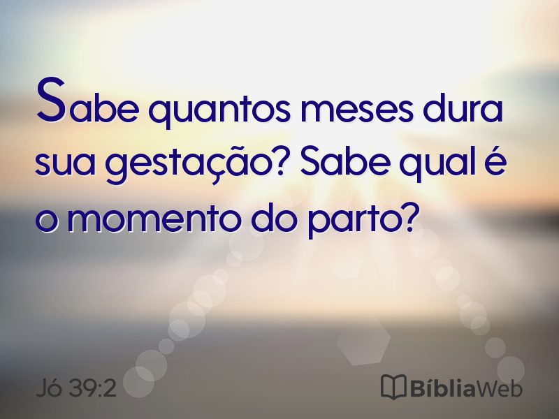 Jó 39:2 em imagem para compartilhar