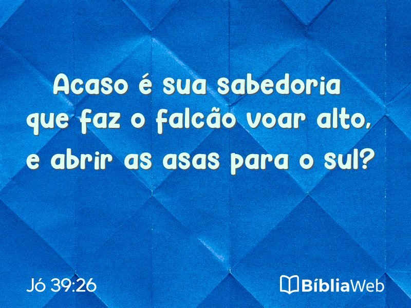 Jó 39:26 em imagem para compartilhar