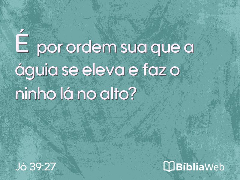 Jó 39:27 em imagem para compartilhar