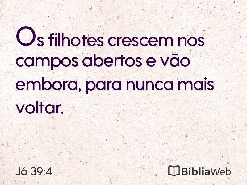 Jó 39:4 em imagem para compartilhar