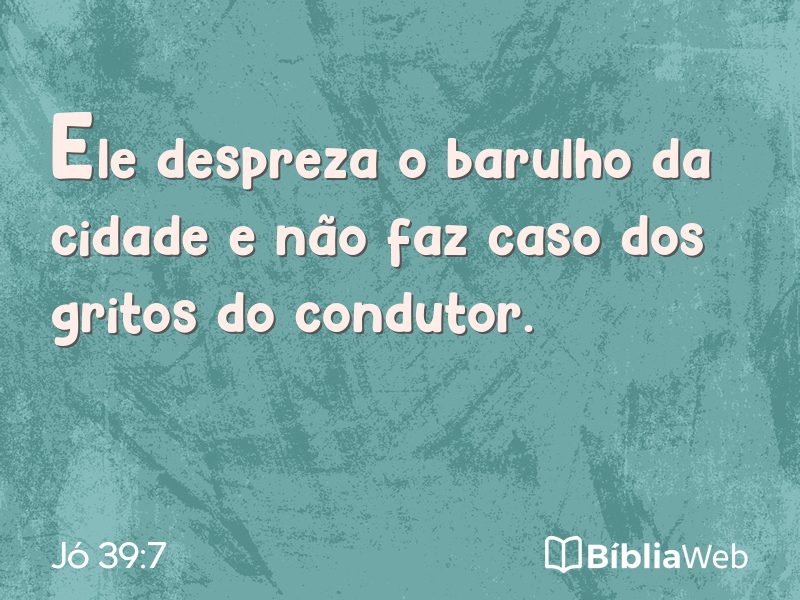 Jó 39:7 em imagem para compartilhar