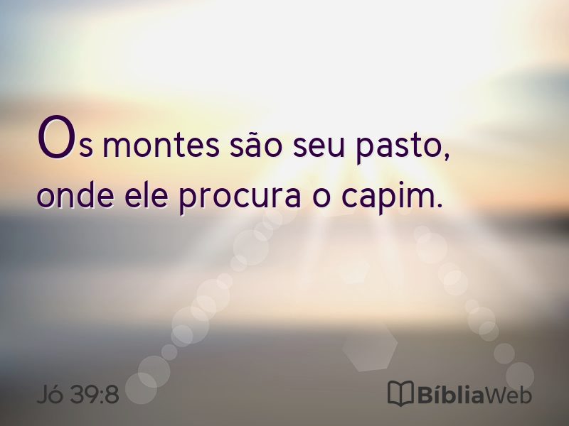 Jó 39:8 em imagem para compartilhar