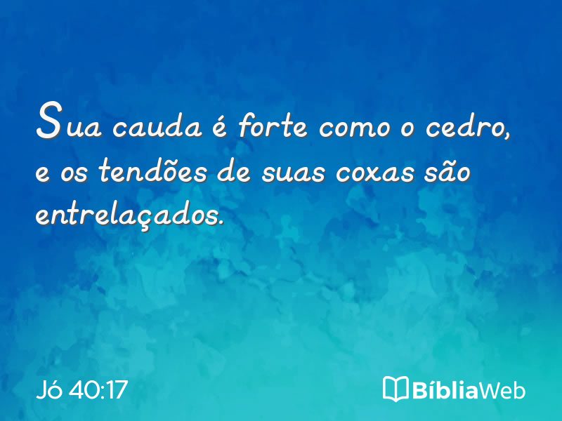 Jó 40:17 em imagem para compartilhar