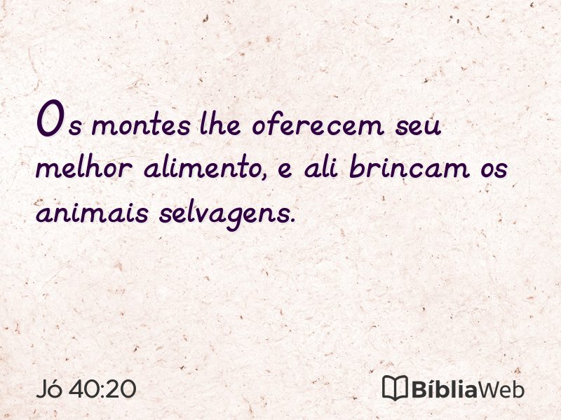 Jó 40:20 em imagem para compartilhar