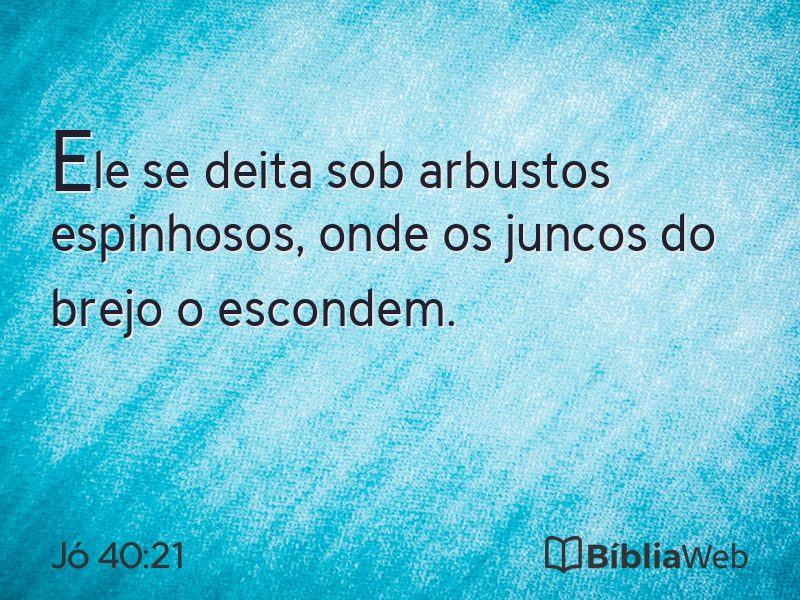Jó 40:21 em imagem para compartilhar