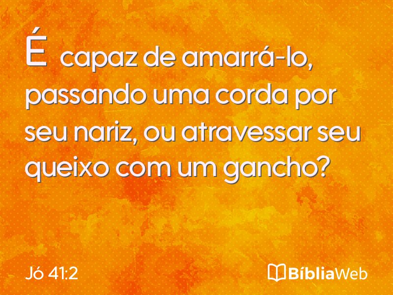 Jó 41:2 em imagem para compartilhar