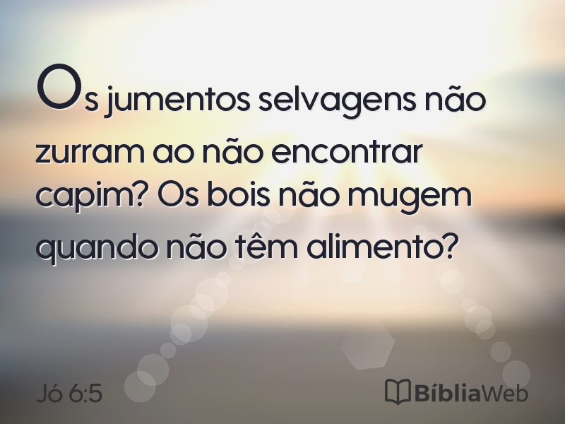 Jó 6:5 em imagem para compartilhar