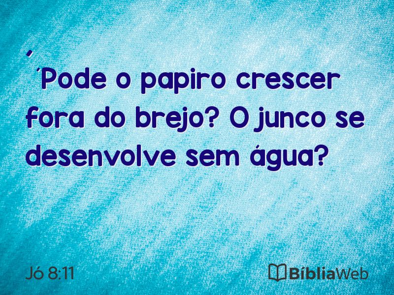 Jó 8:11 em imagem para compartilhar