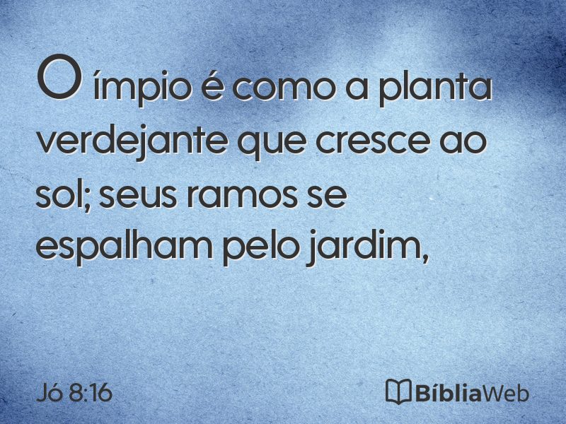 Jó 8:16 em imagem para compartilhar
