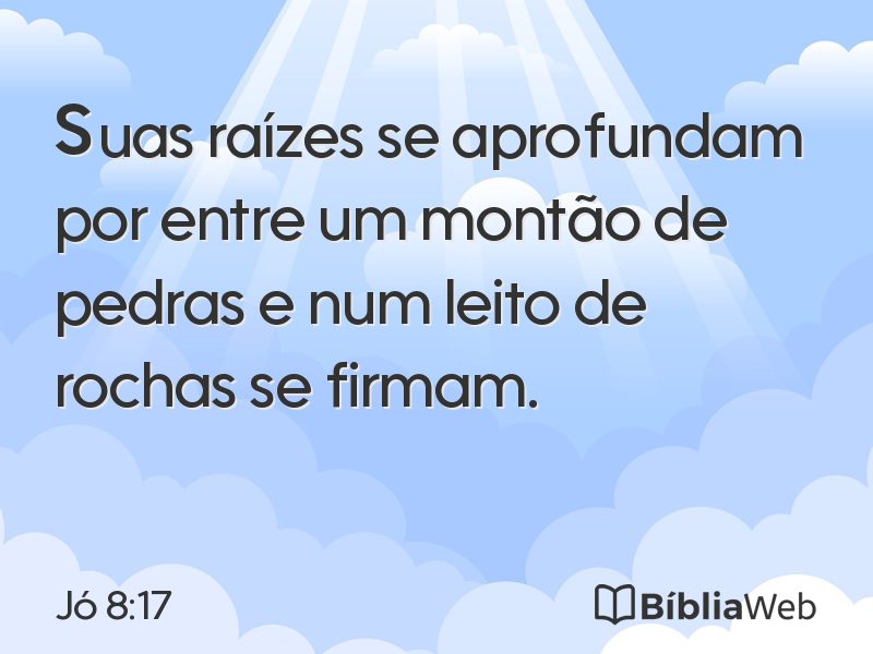 Jó 8:17 em imagem para compartilhar