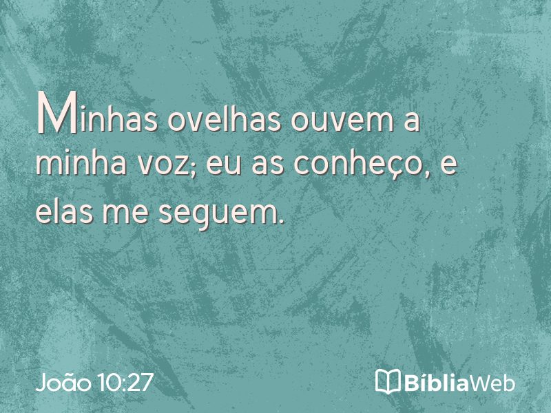 João 10:27 em imagem para compartilhar