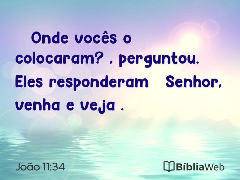 João 11:34 em imagem para compartilhar