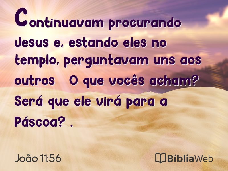 João 11:56 em imagem para compartilhar