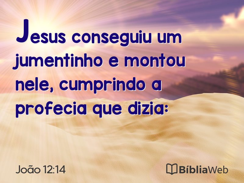 João 12:14 em imagem para compartilhar