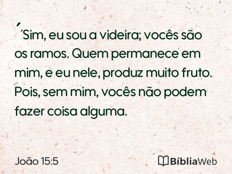 João 15:5 em imagem para compartilhar
