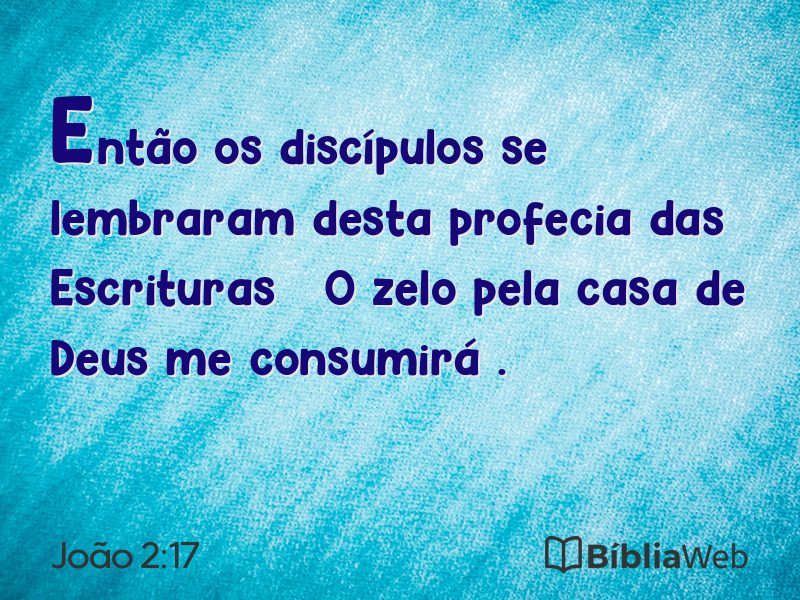 João 2:17 em imagem para compartilhar