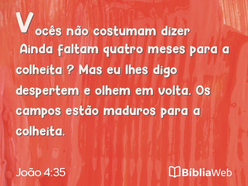 João 4:35 em imagem para compartilhar