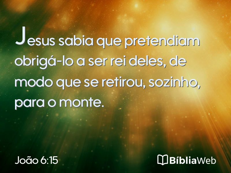 João 6:15 em imagem para compartilhar