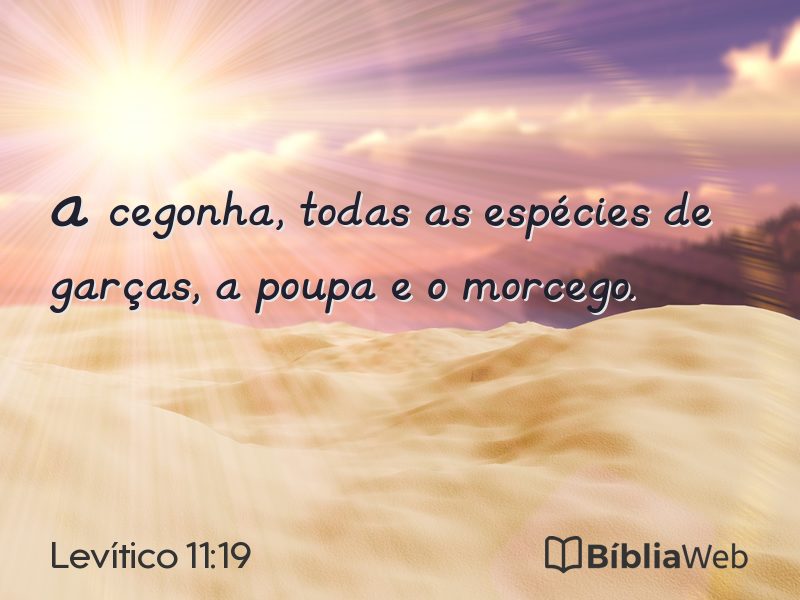 Levítico 11:19 em imagem para compartilhar