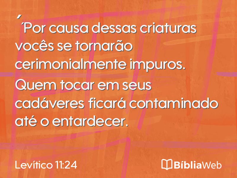 Levítico 11:24 em imagem para compartilhar