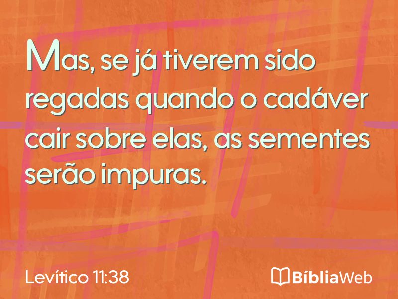 Levítico 11:38 em imagem para compartilhar