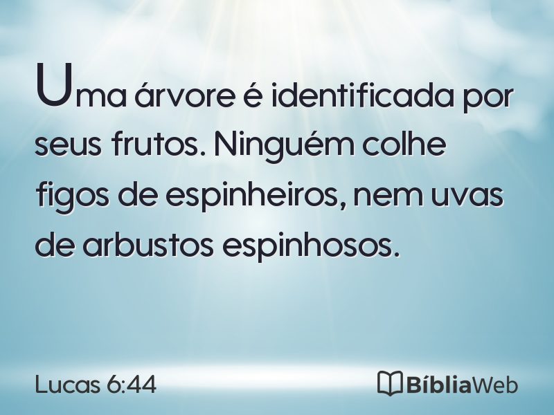 Lucas 6:44 em imagem para compartilhar
