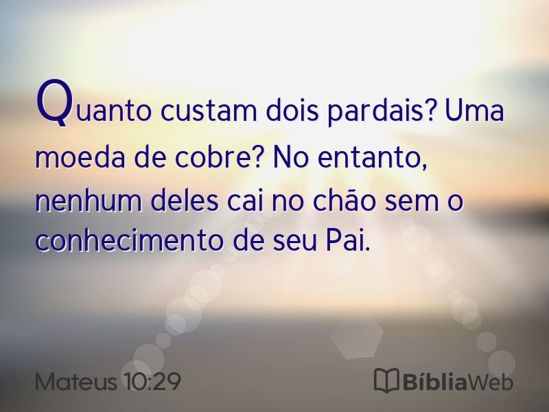 Mateus 10:29 em imagem para compartilhar