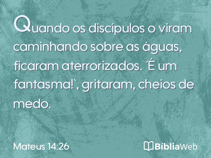 Mateus 14:26 em imagem para compartilhar