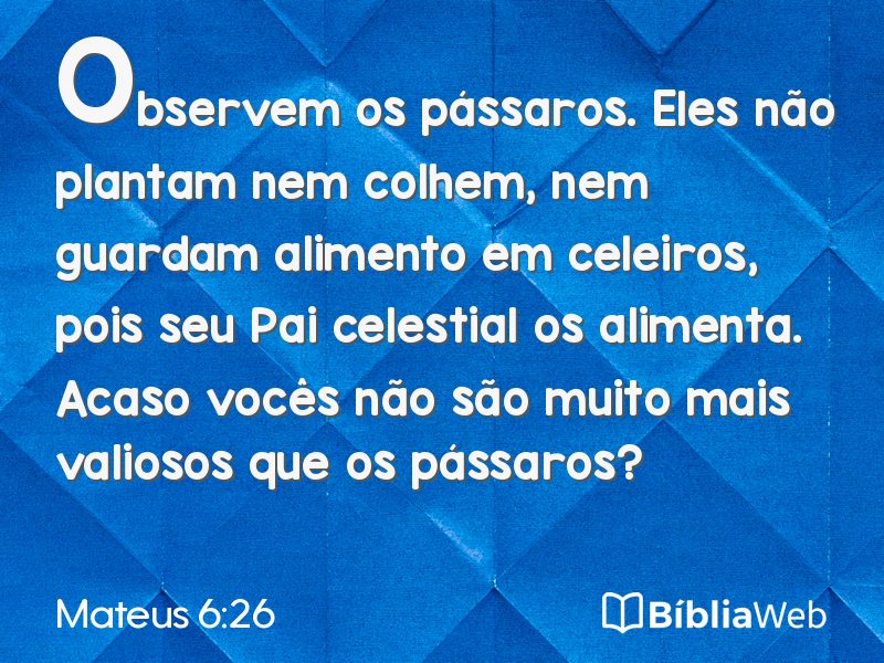 Mateus 6:26 em imagem para compartilhar